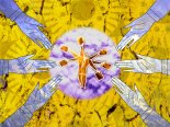Person At The Center Of A Circle With 6 Hands Reaching In